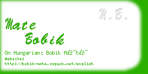 mate bobik business card